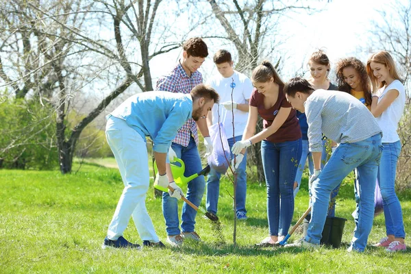 Groep van vrijwilligers werken in park op zonnige dag — Stockfoto