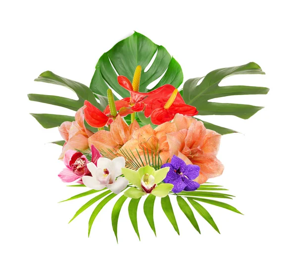 Tropikalne i piękne kwiaty — Zdjęcie stockowe