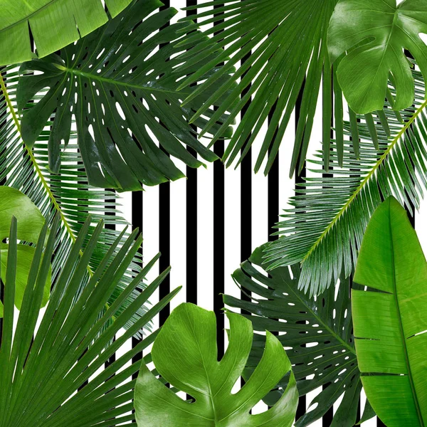 Tropical leaves on pattern — Stock Photo, Image