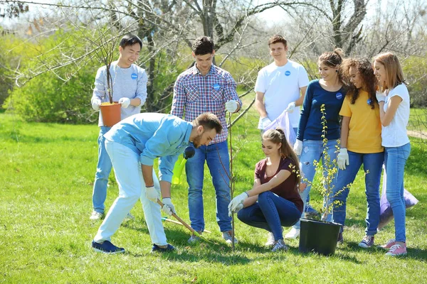 Groep van vrijwilligers werken in park op zonnige dag — Stockfoto