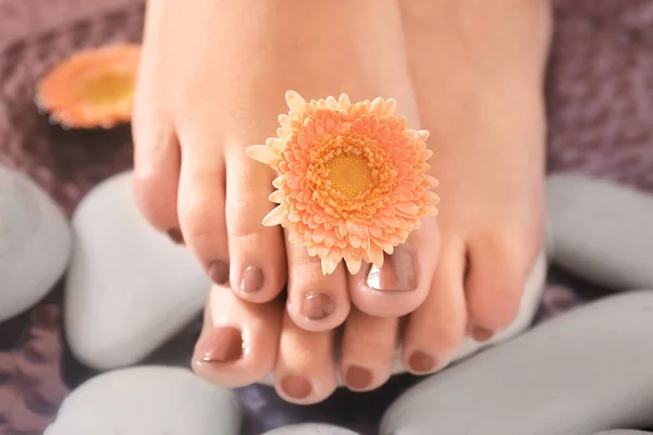 Female feet on spa stones — Stock Photo, Image