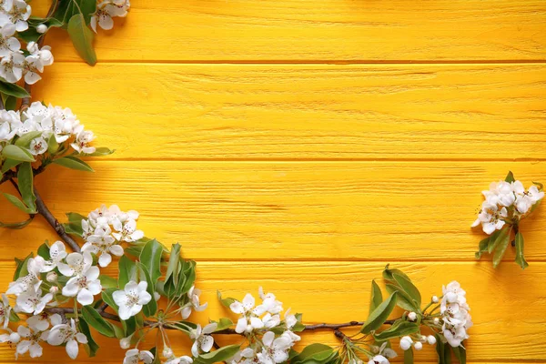 Tree branches with blooming flowers — Stock Photo, Image