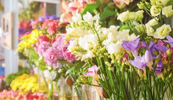 Flores coloridas na loja — Fotografia de Stock