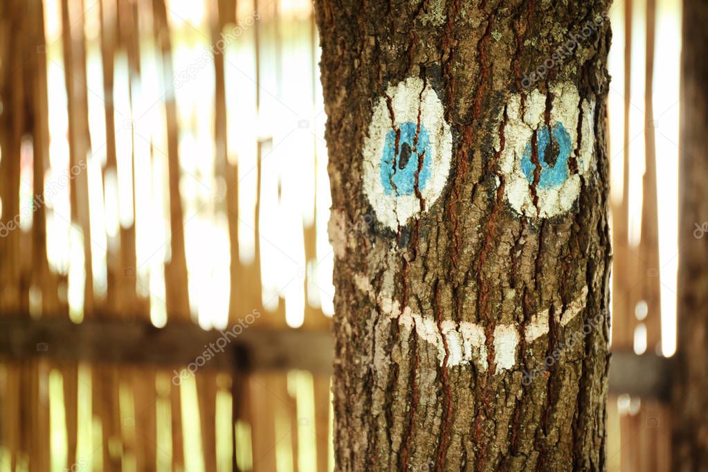 Tree trunk with smiling face