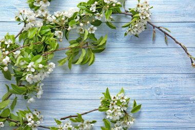 Çiçekli ağaç dalları