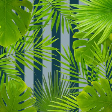 Tropikal desen yapraklarda 