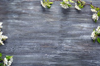 Çiçekli ağaç dalları 