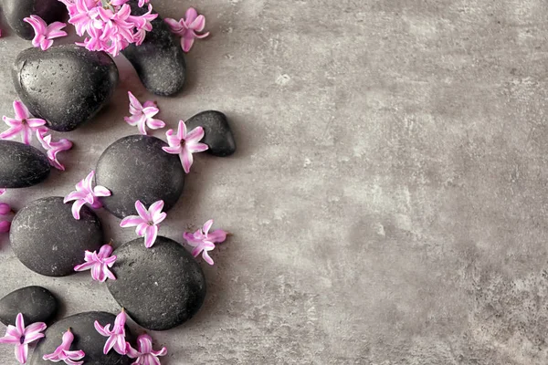 Spa stones and hyacinth — Stock Photo, Image