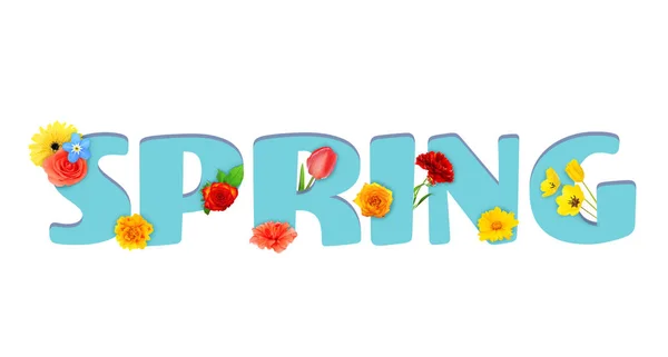 Word SPRING and and beautiful flowers — Stock Photo, Image