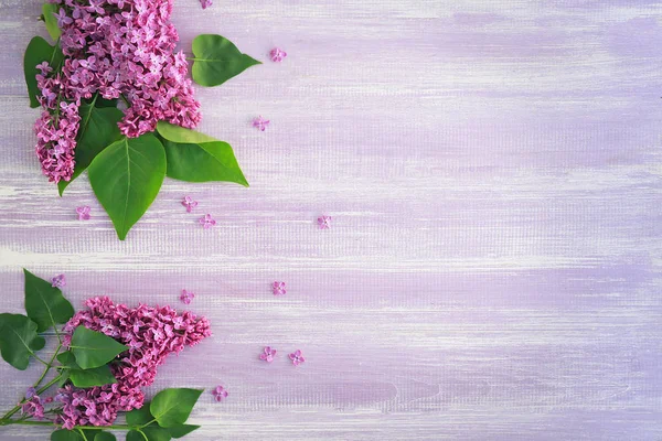 Beautiful lilac flowers on violet — Stock Photo, Image