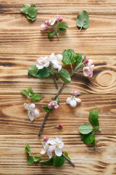 Гілочки дерев з квітучими квітами — стокове фото