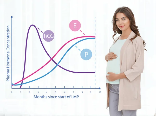 Gráfico de cambios en los niveles hormonales durante el embarazo — Foto de Stock