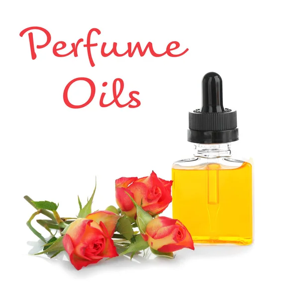 Složení oleje parfém — Stock fotografie
