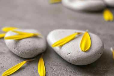 Spa taşlar ve krizantem yaprakları