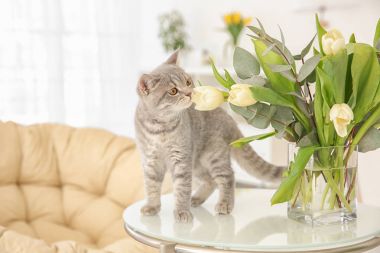Şirin kedi ve çiçekli vazo 