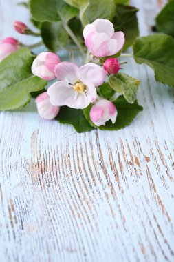 Ağaç dalı ile çiçek açan çiçekler 