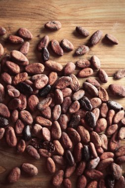 Aromatik kakao çekirdekleri