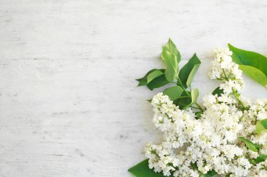  Eflatun çiçekler çok güzel 