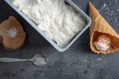 Taze hindistan cevizi dondurma 