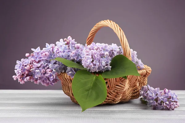 Hermosas flores lila — Foto de Stock