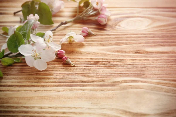 Tree branch with blooming flowers — Stock Photo, Image