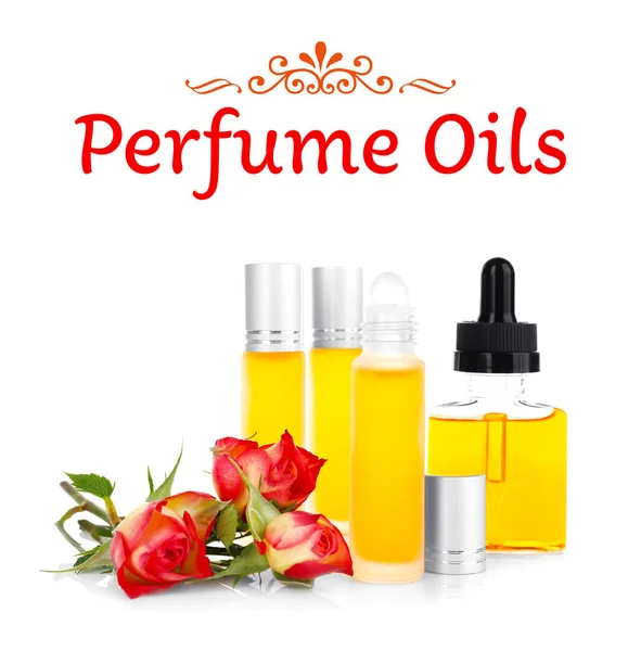 Perfume oils composition — Stock Photo, Image