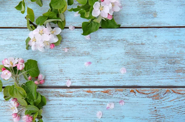 Rami d'albero con fiori in fiore — Foto Stock