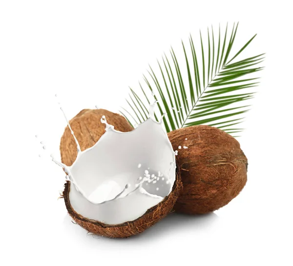 Kokosnoten en melk spatten — Stockfoto