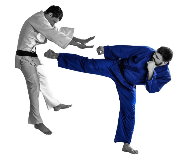 Hombres practicando artes marciales —  Fotos de Stock