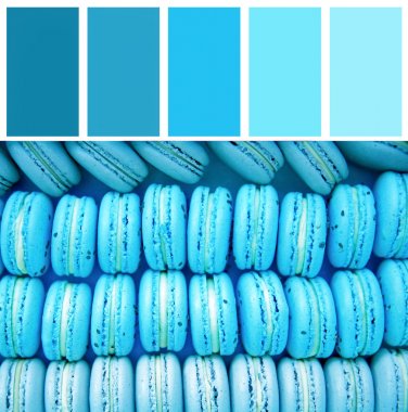 Nane renk eşleme ve macarons