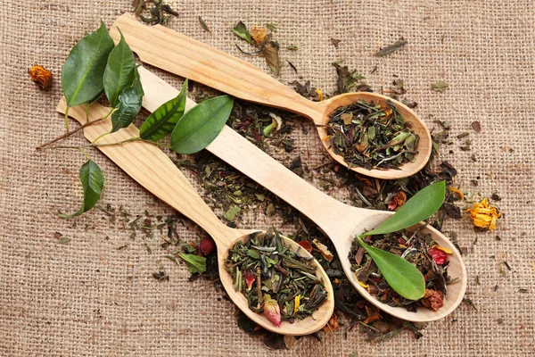 Té seco en cucharas de madera —  Fotos de Stock