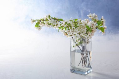 Güzel çiçek açması ağaç dalları ile cam vazo