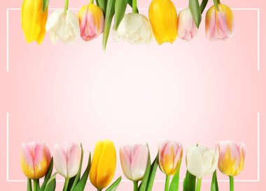 Lale ile metin için yer 