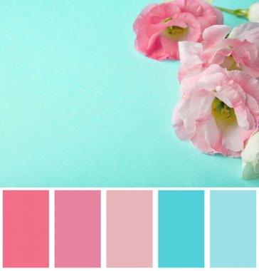 Nane renk eşleme ve çiçekler