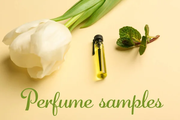 Beautiful composition with perfume sample — Stock Photo, Image