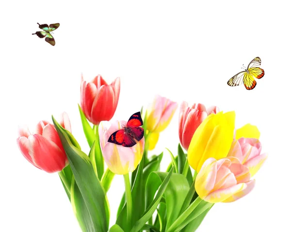Vackra blommor och flygande fjärilar — Stockfoto