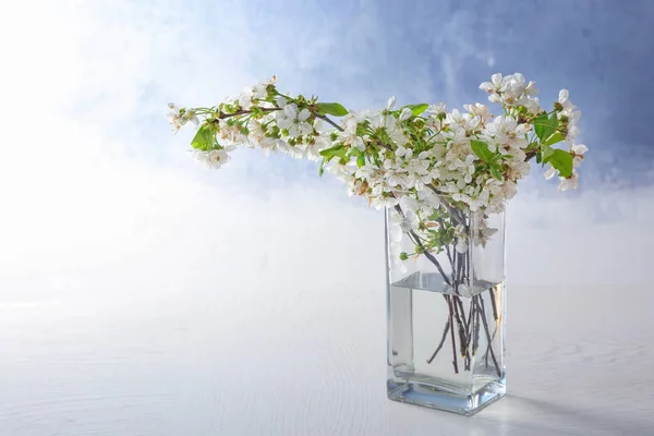 Jarrón de vidrio con hermosas ramas de árboles en flor — Foto de Stock