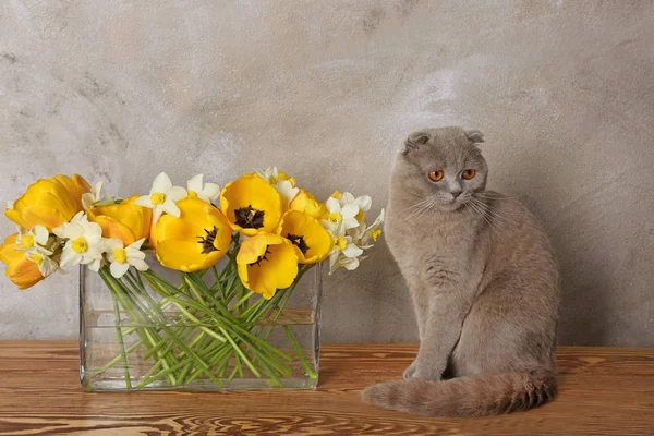 Ładny kot z kwiatami — Zdjęcie stockowe
