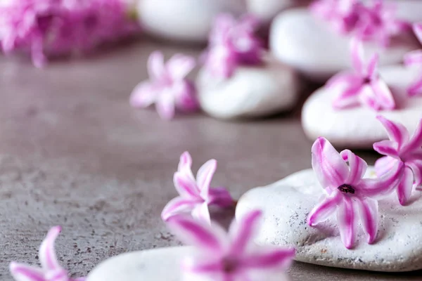 Spa stenen en hyacint — Stockfoto