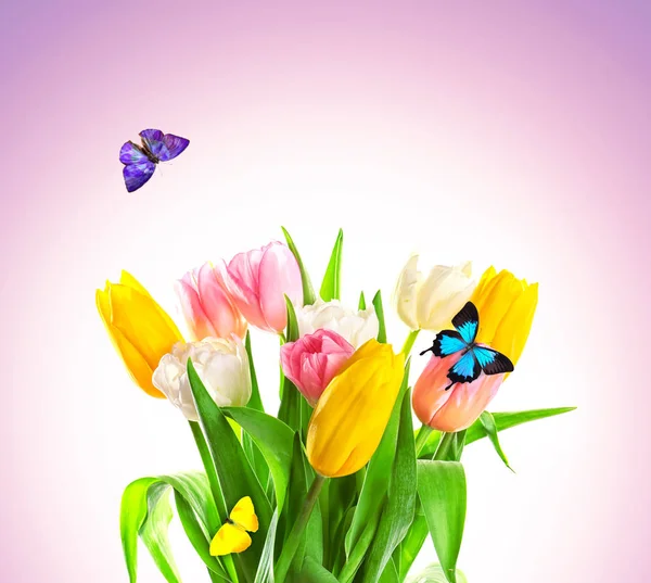 Lindas flores e borboletas voadoras — Fotografia de Stock