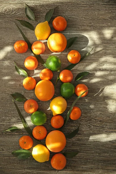 Appetizing fresh citrus fruits — Stock Photo, Image