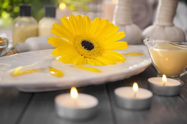 Beautiful spa composition — Stock Photo, Image