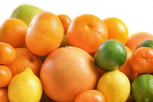 Abeto de citrinos suculentos — Fotografia de Stock