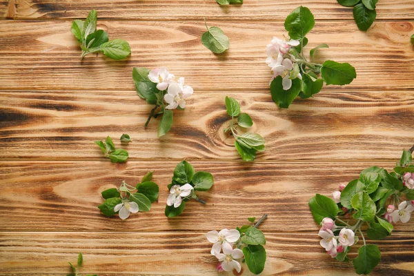 Ramoscelli di albero con fiori in fiore — Foto Stock