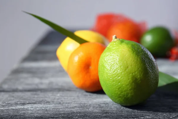 Different citrus fruits — Stock Photo, Image