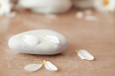 Spa taşlar ve krizantem yaprakları