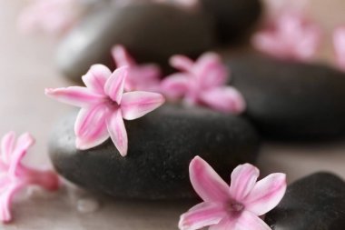 Spa taşlar ve sümbül