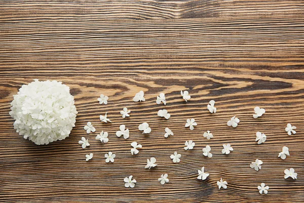 Ramo de flores de hortensias — Foto de Stock