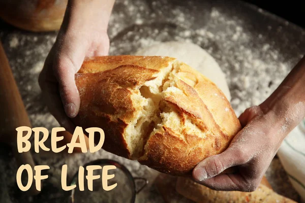 Ekmek ile erkek el — Stok fotoğraf