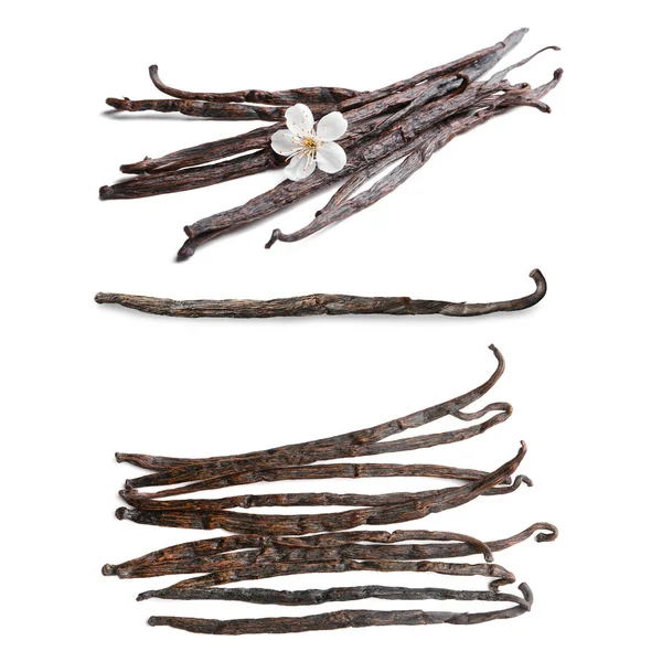 Vanilla pods with flower — Stock Photo, Image